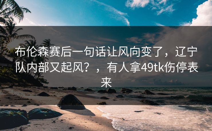 布伦森赛后一句话让风向变了，辽宁队内部又起风？，有人拿49tk伤停表来