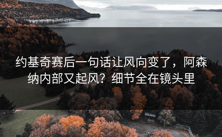 约基奇赛后一句话让风向变了，阿森纳内部又起风？细节全在镜头里
